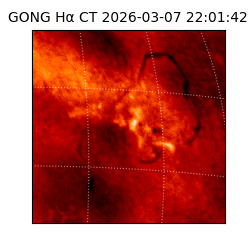 gong - 2026-03-07T22:01:42