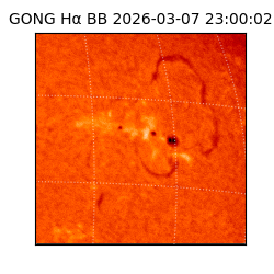 gong - 2026-03-07T23:00:02