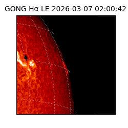 gong - 2026-03-07T02:00:42