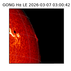 gong - 2026-03-07T03:00:42
