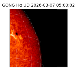 gong - 2026-03-07T05:00:02