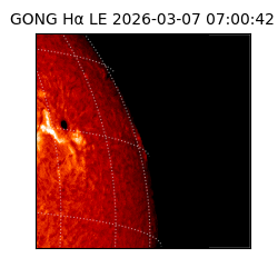 gong - 2026-03-07T07:00:42