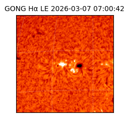 gong - 2026-03-07T07:00:42