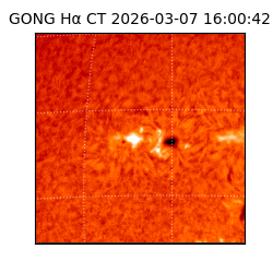 gong - 2026-03-07T16:00:42