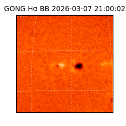 gong - 2026-03-07T21:00:02