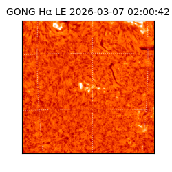 gong - 2026-03-07T02:00:42