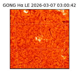 gong - 2026-03-07T03:00:42