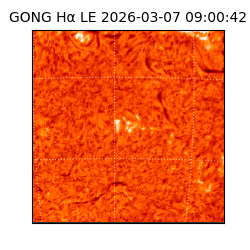 gong - 2026-03-07T09:00:42
