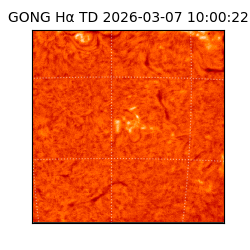 gong - 2026-03-07T10:00:22