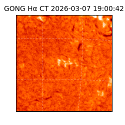 gong - 2026-03-07T19:00:42