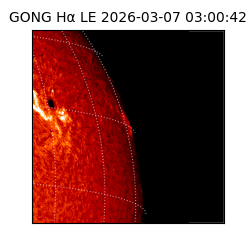gong - 2026-03-07T03:00:42