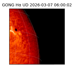 gong - 2026-03-07T06:00:02