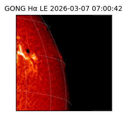 gong - 2026-03-07T07:00:42