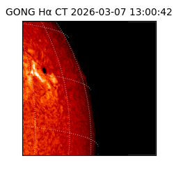 gong - 2026-03-07T13:00:42