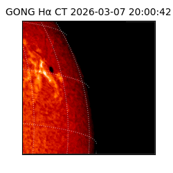 gong - 2026-03-07T20:00:42