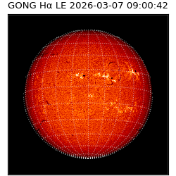 gong - 2026-03-07T09:00:42