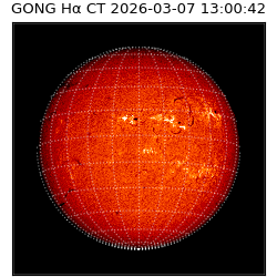 gong - 2026-03-07T13:00:42