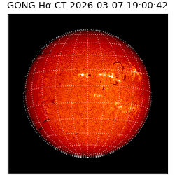 gong - 2026-03-07T19:00:42