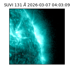 suvi - 2026-03-07T04:03:09.730000