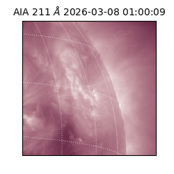 saia - 2026-03-08T01:00:09.624000