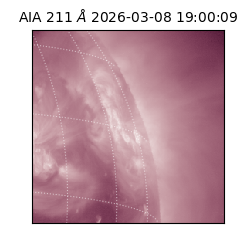 saia - 2026-03-08T19:00:09.624000