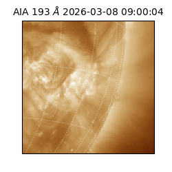 saia - 2026-03-08T09:00:04.842000