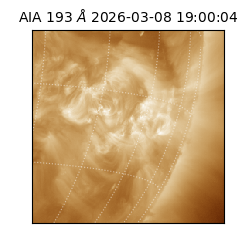 saia - 2026-03-08T19:00:04.845000