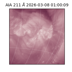 saia - 2026-03-08T01:00:09.624000