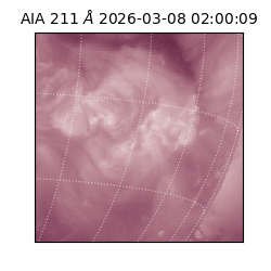 saia - 2026-03-08T02:00:09.623000