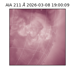 saia - 2026-03-08T19:00:09.624000