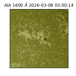 saia - 2026-03-08T03:00:14.122000