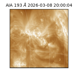 saia - 2026-03-08T20:00:04.842000