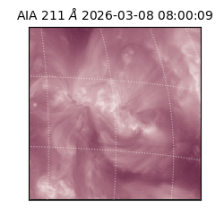 saia - 2026-03-08T08:00:09.623000