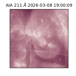 saia - 2026-03-08T19:00:09.624000