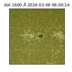 saia - 2026-03-08T06:00:14.123000