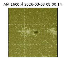 saia - 2026-03-08T08:00:14.122000