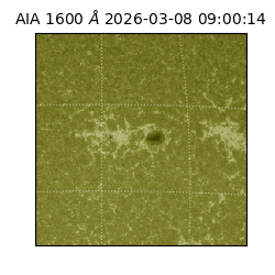 saia - 2026-03-08T09:00:14.122000