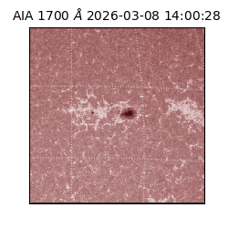 saia - 2026-03-08T14:00:28.446000