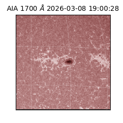 saia - 2026-03-08T19:00:28.446000