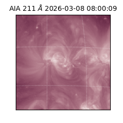 saia - 2026-03-08T08:00:09.623000