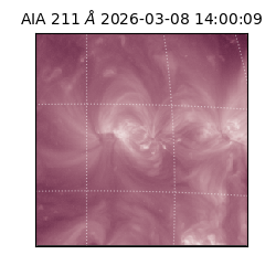 saia - 2026-03-08T14:00:09.623000