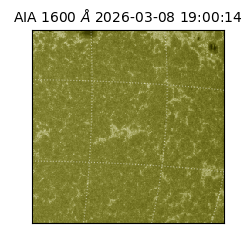 saia - 2026-03-08T19:00:14.123000