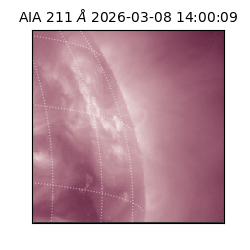 saia - 2026-03-08T14:00:09.623000