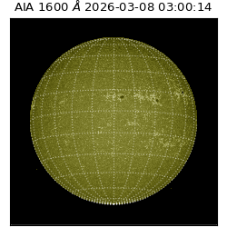 saia - 2026-03-08T03:00:14.122000
