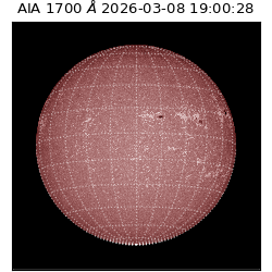 saia - 2026-03-08T19:00:28.446000