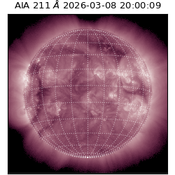 saia - 2026-03-08T20:00:09.624000