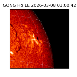 gong - 2026-03-08T01:00:42