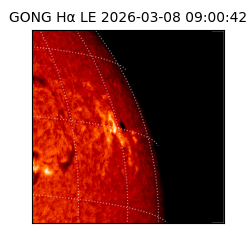 gong - 2026-03-08T09:00:42