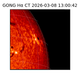 gong - 2026-03-08T13:00:42