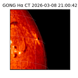gong - 2026-03-08T21:00:42